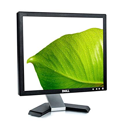 Dell 17-inch Display LCD (Used_Good Condition)