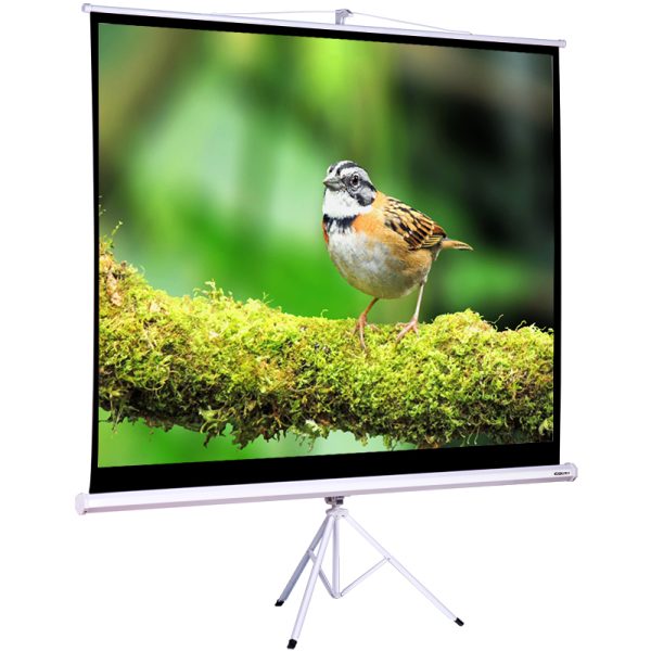 Deli 50491 Projection Screen with Tripod Stand - www.computerchoice.pk